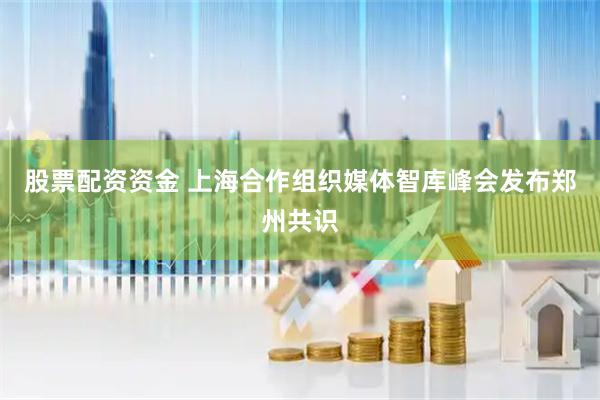 股票配资资金 上海合作组织媒体智库峰会发布郑州共识