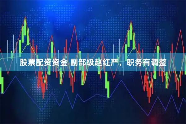股票配资资金 副部级赵红严，职务有调整