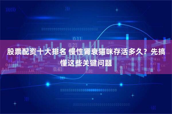股票配资十大排名 慢性肾衰猫咪存活多久?先搞懂这些关键问题