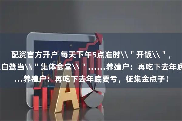 配资官方开户 每天下午5点准时\＂开饭\＂，200亩鱼塘被几百只白鹭当\＂集体食堂\＂……养殖户：再吃下去年底要亏，征集金点子！